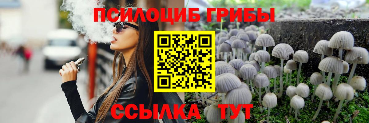 Аша  Псилоцибиновые грибы Magic Shrooms  Вход с VPN  Псилоцибиновые грибы мицелий 